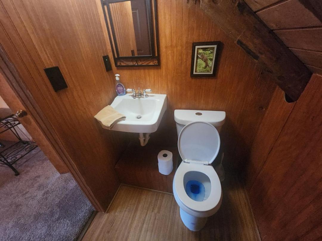 Very Private, Real Log Cabin With Hot Tub! Sevierville Exterior foto